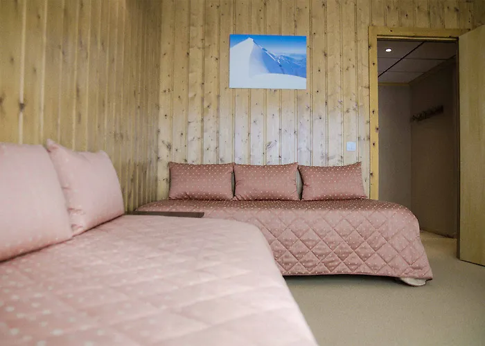 Hotel Les Arolles 3*